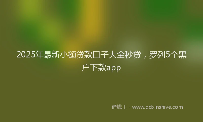 2025年最新小额贷款口子大全秒贷，罗列5个黑户下款app