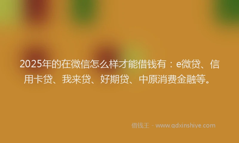2025年的在微信怎么样才能借钱有：e微贷、信用卡贷、我来贷、好期贷、中原消费金融等。