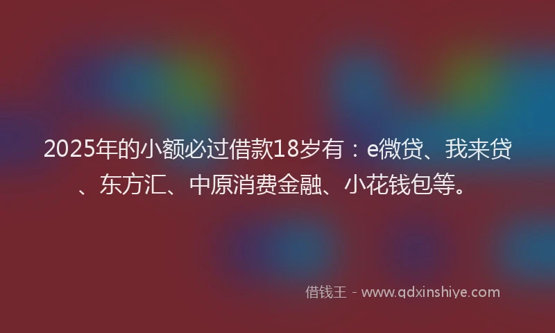 2025年的小额必过借款18岁有：e微贷、我来贷、东方汇、中原消费金融、小花钱包等。