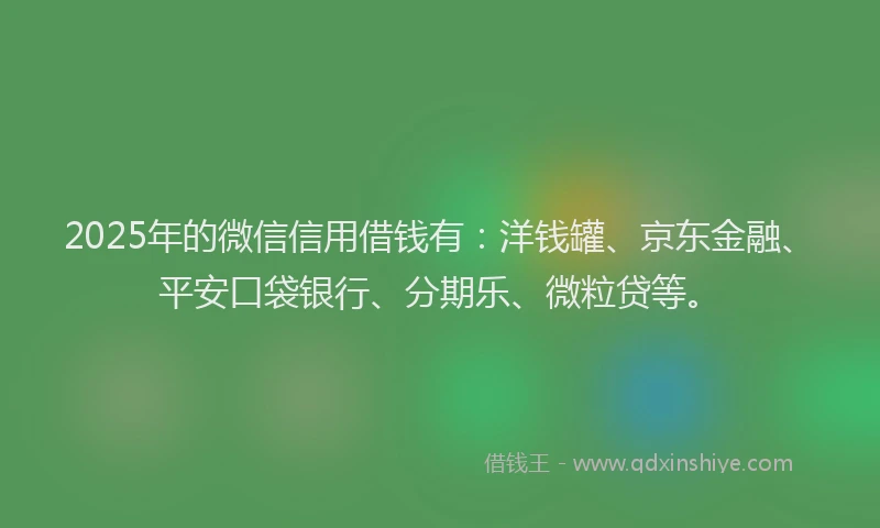 2025年的微信信用借钱有：洋钱罐、京东金融、平安口袋银行、分期乐、微粒贷等。