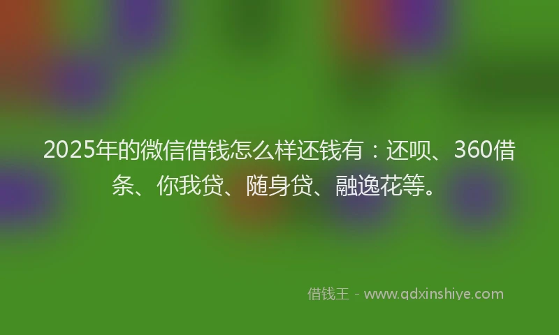 2025年的微信借钱怎么样还钱有：还呗、360借条、你我贷、随身贷、融逸花等。