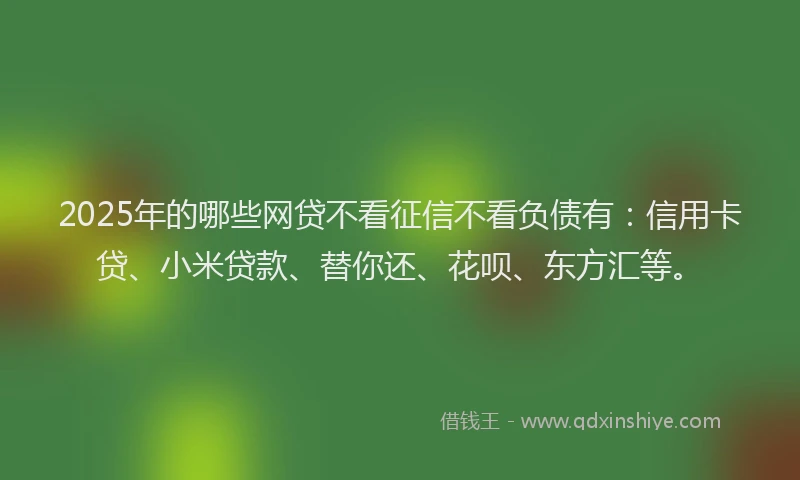 2025年的哪些网贷不看征信不看负债有：信用卡贷、小米贷款、替你还、花呗、东方汇等。