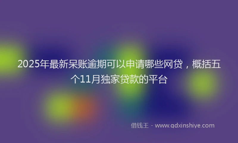 2025年最新呆账逾期可以申请哪些网贷，概括五个11月独家贷款的平台