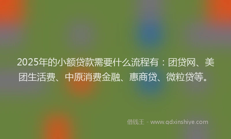 2025年的小额贷款需要什么流程有：团贷网、美团生活费、中原消费金融、惠商贷、微粒贷等。