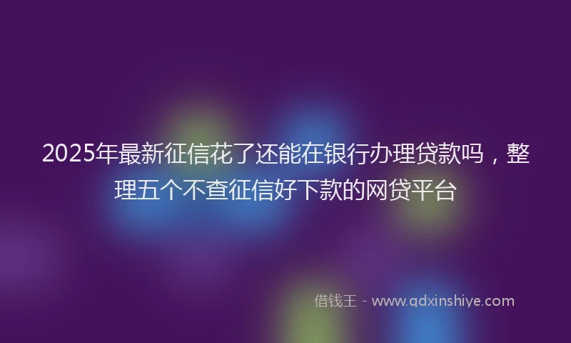 2025年最新征信花了还能在银行办理贷款吗，整理五个不查征信好下款的网贷平台