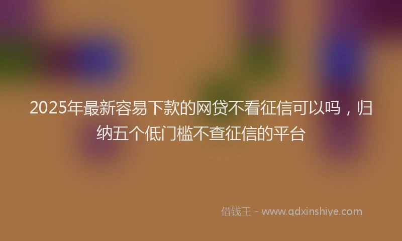 2025年最新容易下款的网贷不看征信可以吗，归纳五个低门槛不查征信的平台