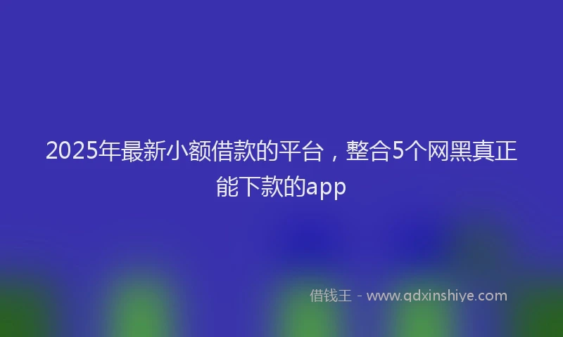 2025年最新小额借款的平台，整合5个网黑真正能下款的app