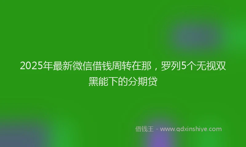 2025年最新微信借钱周转在那，罗列5个无视双黑能下的分期贷