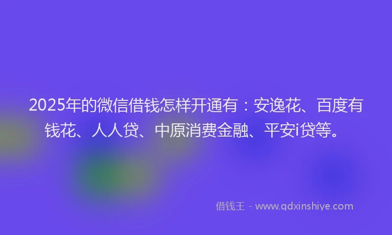 2025年的微信借钱怎样开通有：安逸花、百度有钱花、人人贷、中原消费金融、平安i贷等。