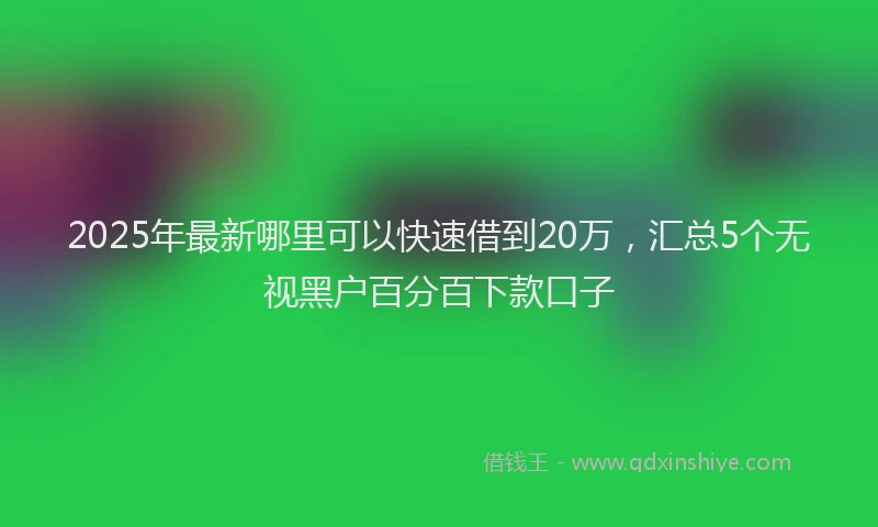 2025年最新哪里可以快速借到20万，汇总5个无视黑户百分百下款口子