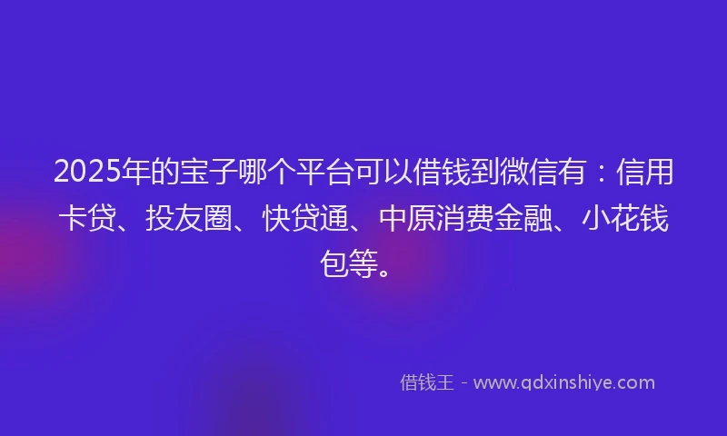2025年的宝子哪个平台可以借钱到微信有：信用卡贷、投友圈、快贷通、中原消费金融、小花钱包等。