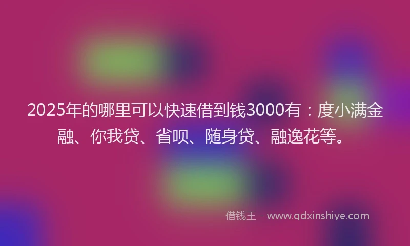 2025年的哪里可以快速借到钱3000有：度小满金融、你我贷、省呗、随身贷、融逸花等。