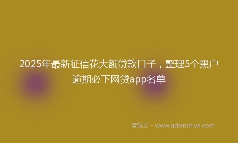 2025年最新征信花大额贷款口子，整理5个黑户逾期必下网贷app名单