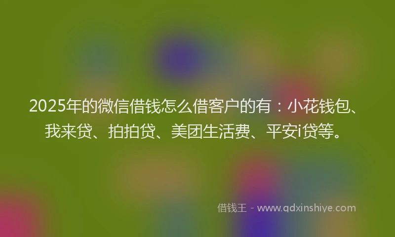 2025年的微信借钱怎么借客户的有：小花钱包、我来贷、拍拍贷、美团生活费、平安i贷等。