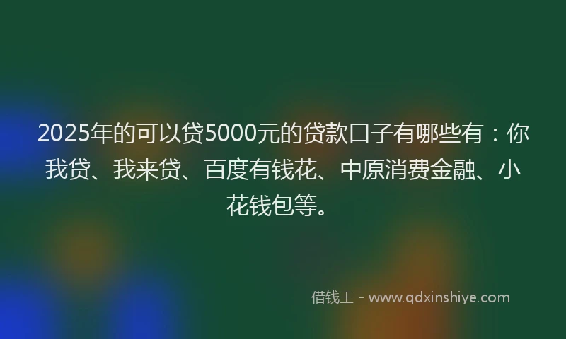2025年的可以贷5000元的贷款口子有哪些有：你我贷、我来贷、百度有钱花、中原消费金融、小花钱包等。