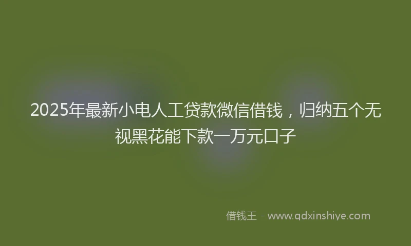 2025年最新小电人工贷款微信借钱，归纳五个无视黑花能下款一万元口子