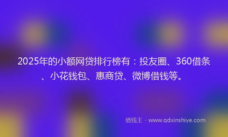 2025年的小额网贷排行榜有：投友圈、360借条、小花钱包、惠商贷、微博借钱等。