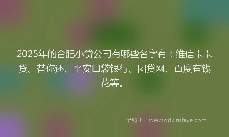 2025年的合肥小贷公司有哪些名字有：维信卡卡贷、替你还、平安口袋银行、团贷网、百度有钱花等。