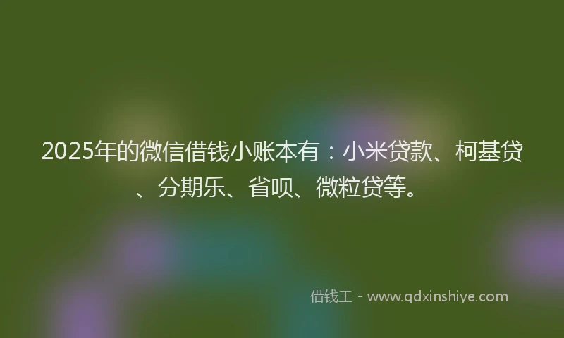2025年的微信借钱小账本有：小米贷款、柯基贷、分期乐、省呗、微粒贷等。