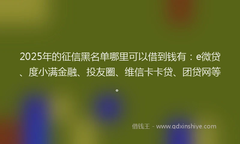 2025年的征信黑名单哪里可以借到钱有：e微贷、度小满金融、投友圈、维信卡卡贷、团贷网等。