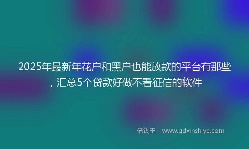 2025年最新年花户和黑户也能放款的平台有那些，汇总5个贷款好做不看征信的软件