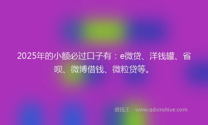 2025年的小额必过口子有：e微贷、洋钱罐、省呗、微博借钱、微粒贷等。