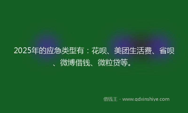 2025年的应急类型有：花呗、美团生活费、省呗、微博借钱、微粒贷等。