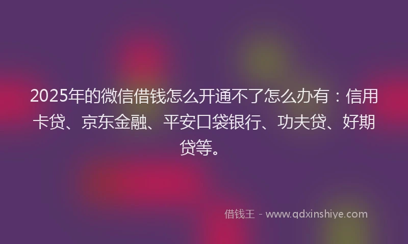 2025年的微信借钱怎么开通不了怎么办有：信用卡贷、京东金融、平安口袋银行、功夫贷、好期贷等。