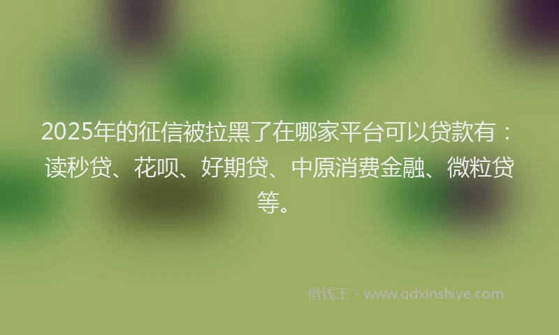 2025年的征信被拉黑了在哪家平台可以贷款有：读秒贷、花呗、好期贷、中原消费金融、微粒贷等。