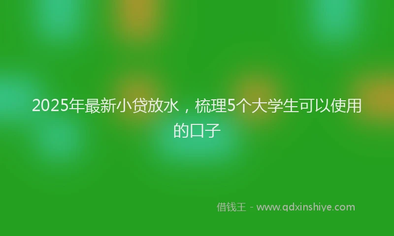 2025年最新小贷放水，梳理5个大学生可以使用的口子