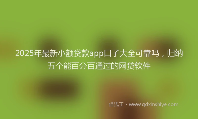 2025年最新小额贷款app口子大全可靠吗，归纳五个能百分百通过的网贷软件