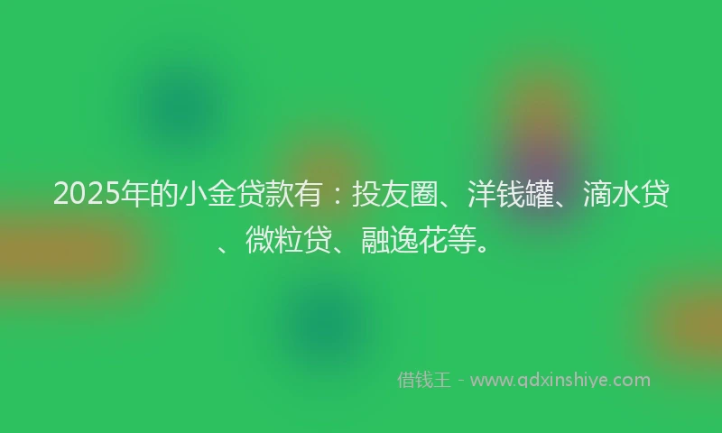 2025年的小金贷款有：投友圈、洋钱罐、滴水贷、微粒贷、融逸花等。