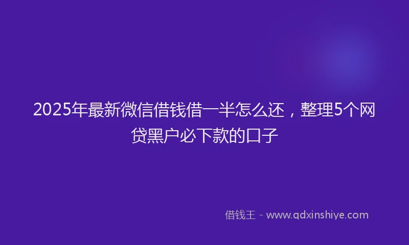 2025年最新微信借钱借一半怎么还，整理5个网贷黑户必下款的口子