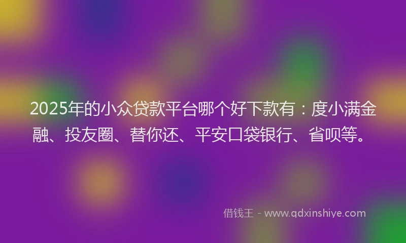 2025年的小众贷款平台哪个好下款有：度小满金融、投友圈、替你还、平安口袋银行、省呗等。