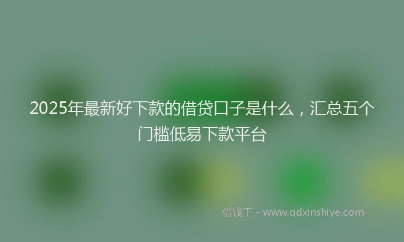 2025年最新好下款的借贷口子是什么，汇总五个门槛低易下款平台