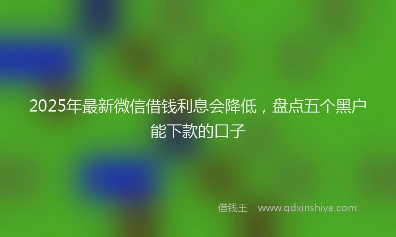 2025年最新微信借钱利息会降低，盘点五个黑户能下款的口子