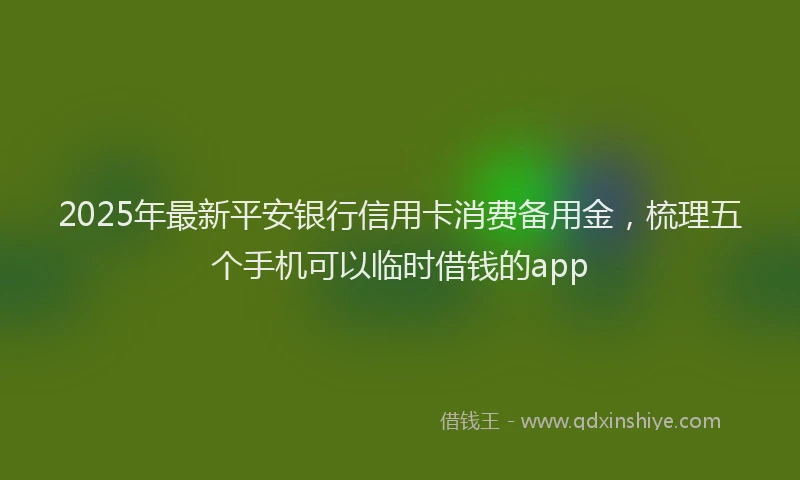 2025年最新平安银行信用卡消费备用金，梳理五个手机可以临时借钱的app