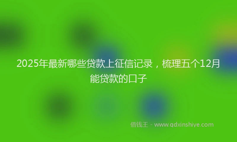 2025年最新哪些贷款上征信记录，梳理五个12月能贷款的口子