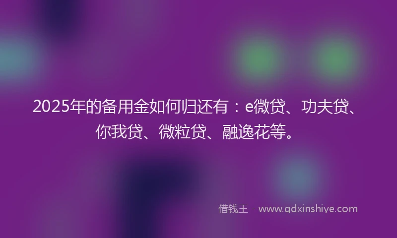 2025年的备用金如何归还有：e微贷、功夫贷、你我贷、微粒贷、融逸花等。