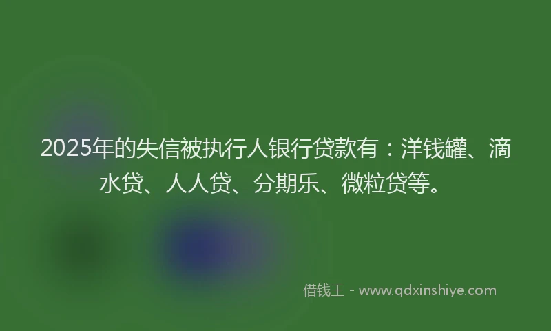 2025年的失信被执行人银行贷款有：洋钱罐、滴水贷、人人贷、分期乐、微粒贷等。