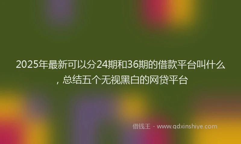 2025年最新可以分24期和36期的借款平台叫什么，总结五个无视黑白的网贷平台