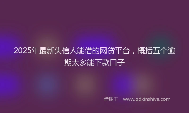 2025年最新失信人能借的网贷平台，概括五个逾期太多能下款口子