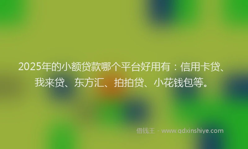 2025年的小额贷款哪个平台好用有：信用卡贷、我来贷、东方汇、拍拍贷、小花钱包等。