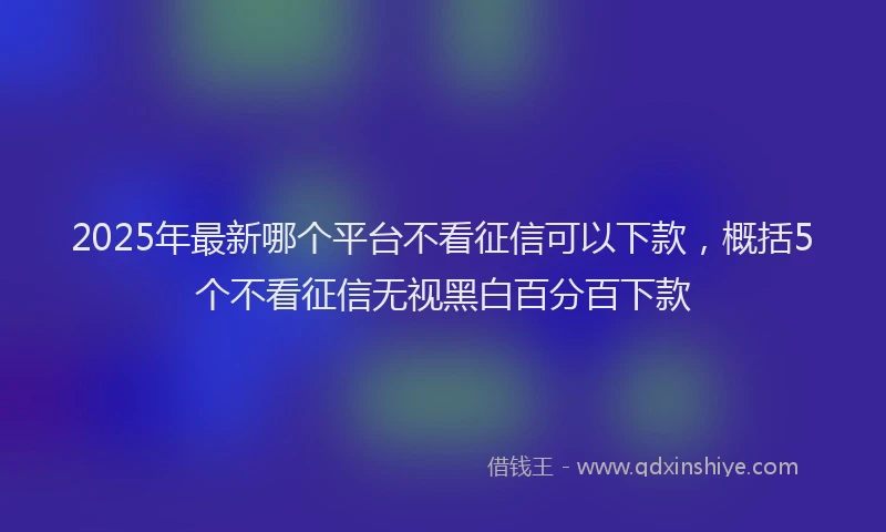 2025年最新哪个平台不看征信可以下款，概括5个不看征信无视黑白百分百下款