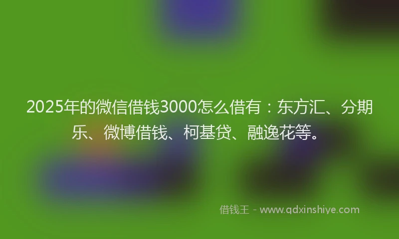 2025年的微信借钱3000怎么借有：东方汇、分期乐、微博借钱、柯基贷、融逸花等。