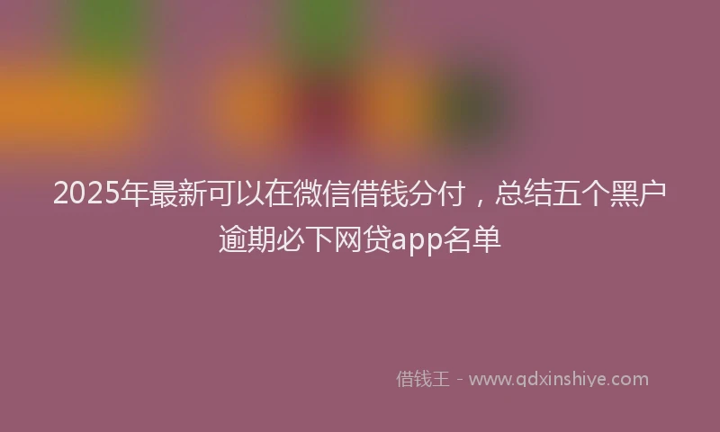 2025年最新可以在微信借钱分付，总结五个黑户逾期必下网贷app名单
