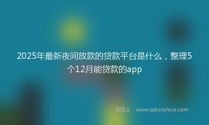 2025年最新夜间放款的贷款平台是什么，整理5个12月能贷款的app