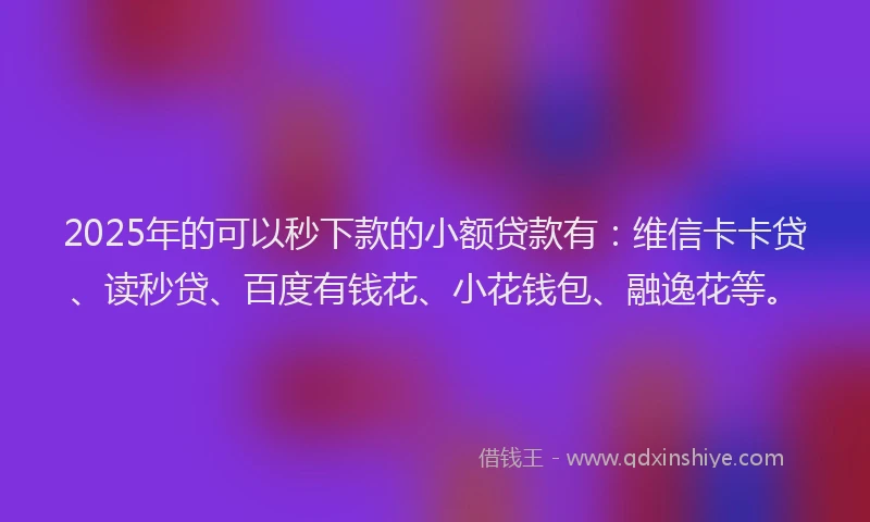 2025年的可以秒下款的小额贷款有：维信卡卡贷、读秒贷、百度有钱花、小花钱包、融逸花等。