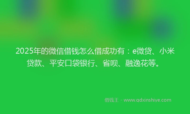 2025年的微信借钱怎么借成功有：e微贷、小米贷款、平安口袋银行、省呗、融逸花等。