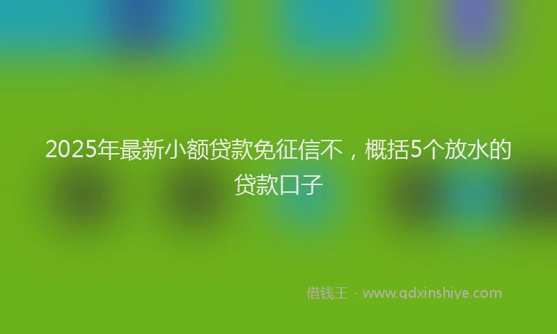 2025年最新小额贷款免征信不，概括5个放水的贷款口子
